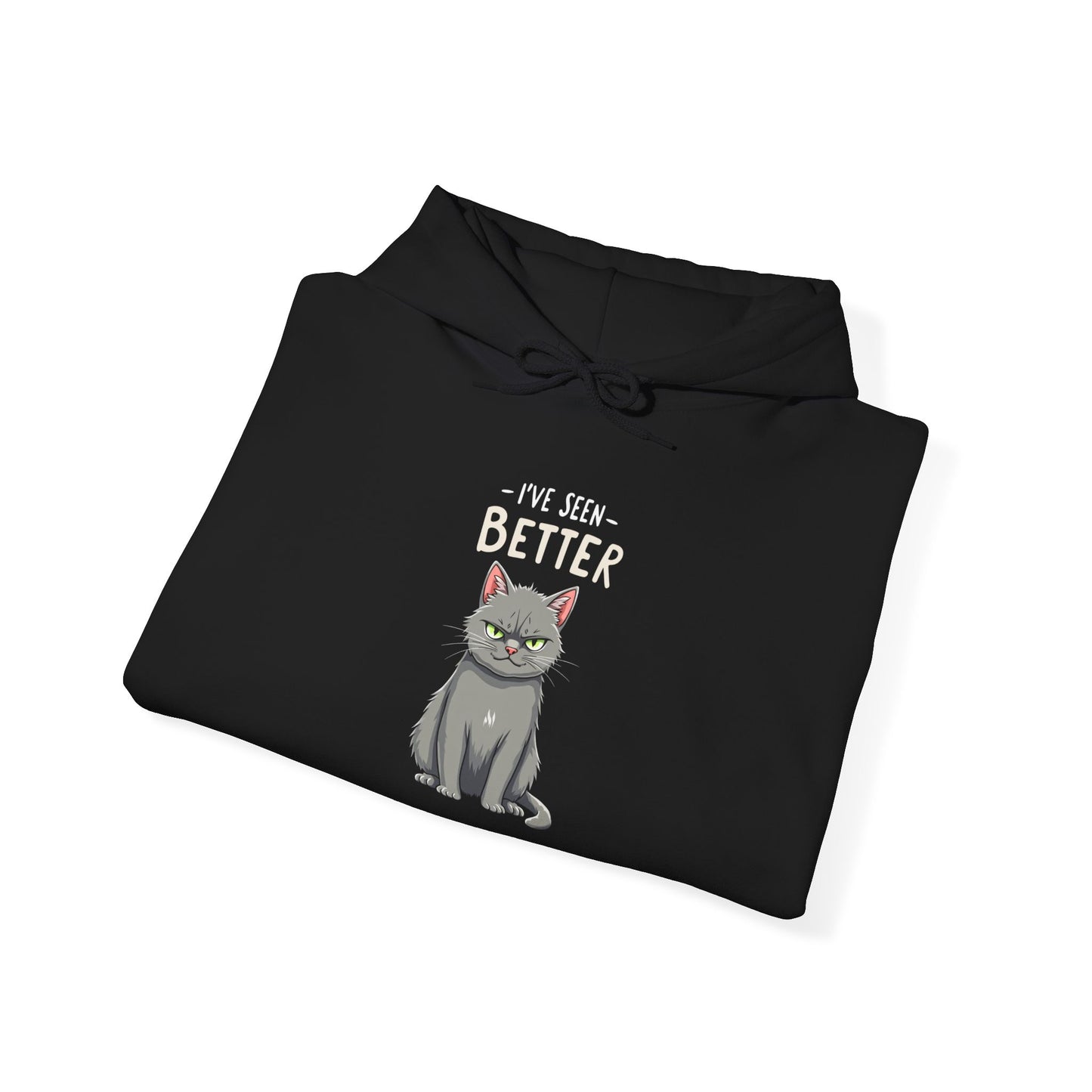 Hoodie - I've Seen Better