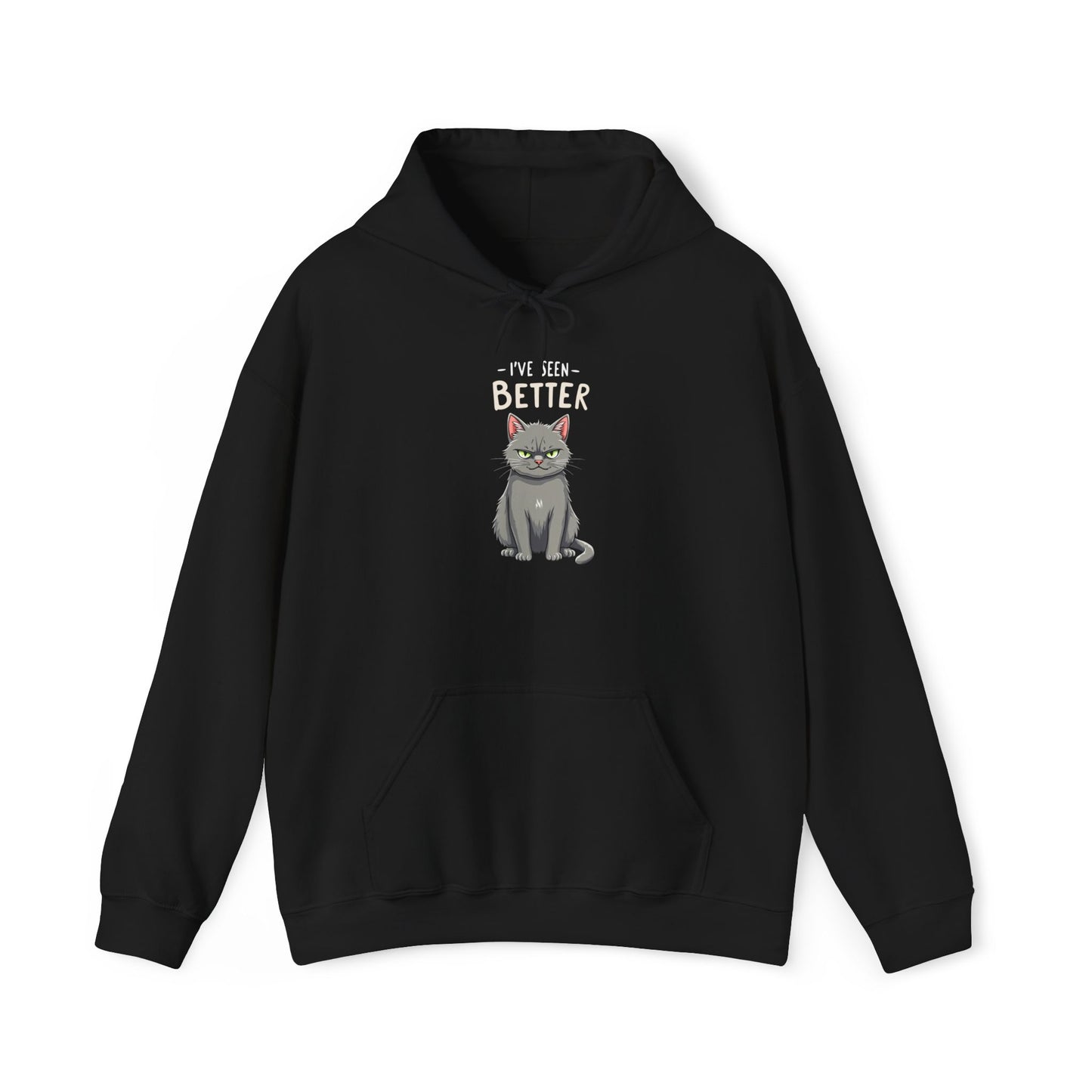 Hoodie - I've Seen Better