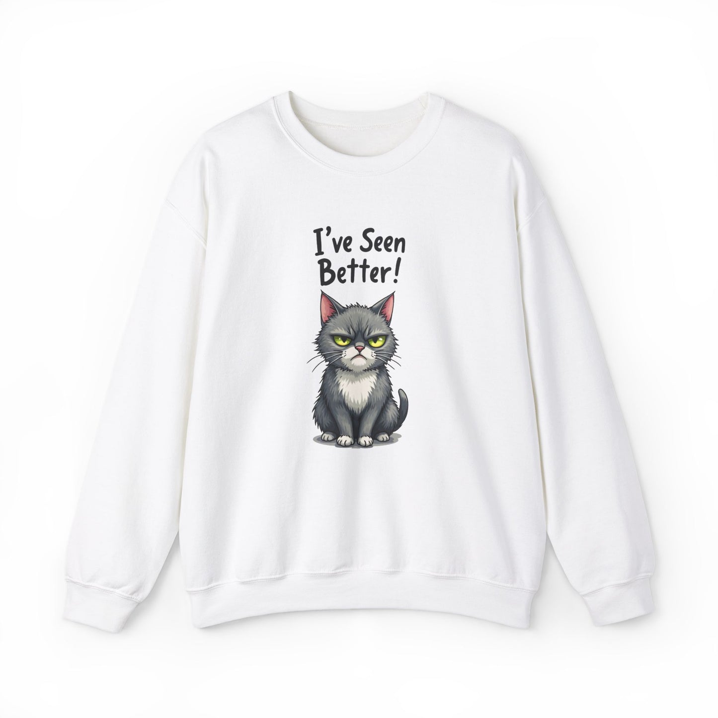 Sweatshirt - I've Seen Better v2