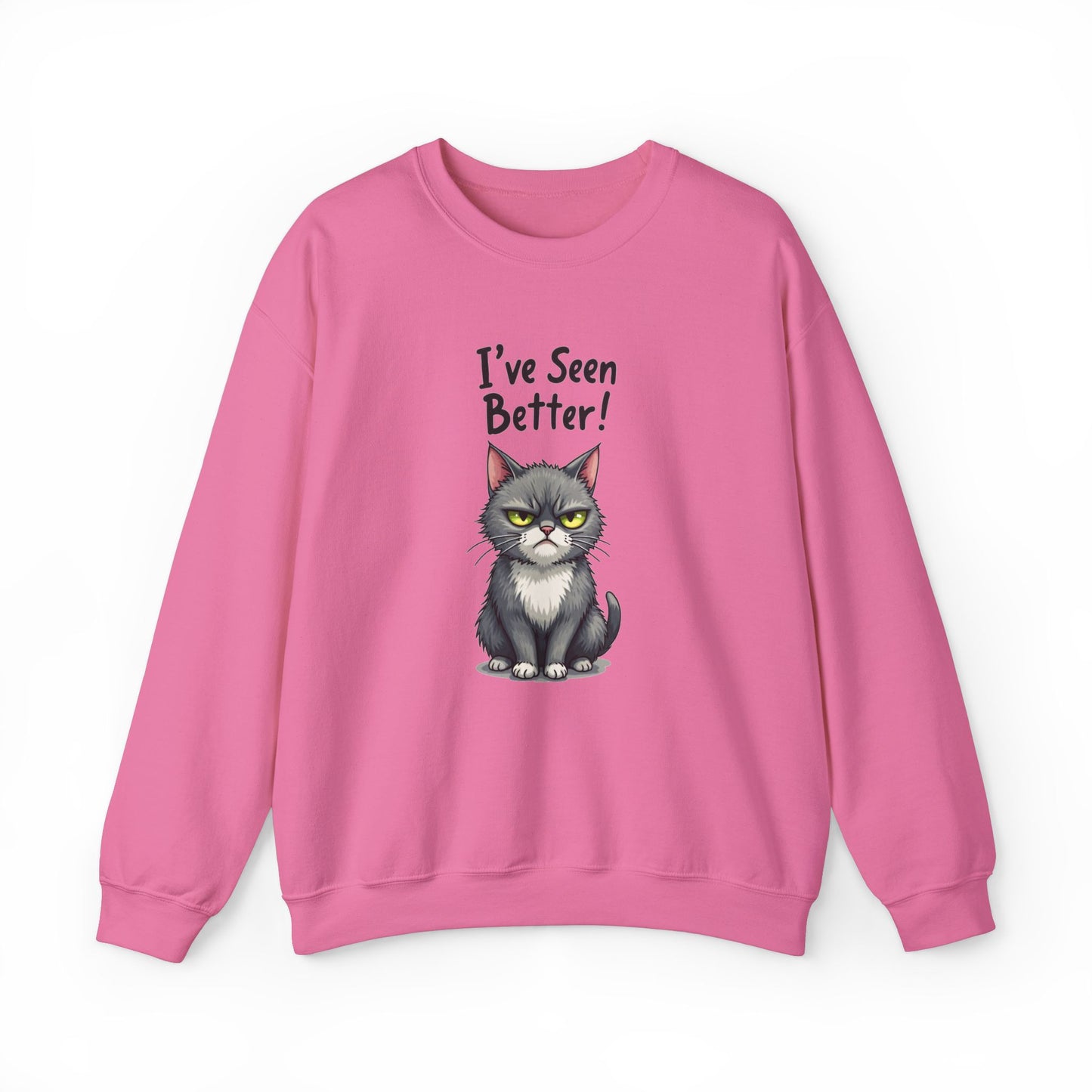 Sweatshirt - I've Seen Better v2