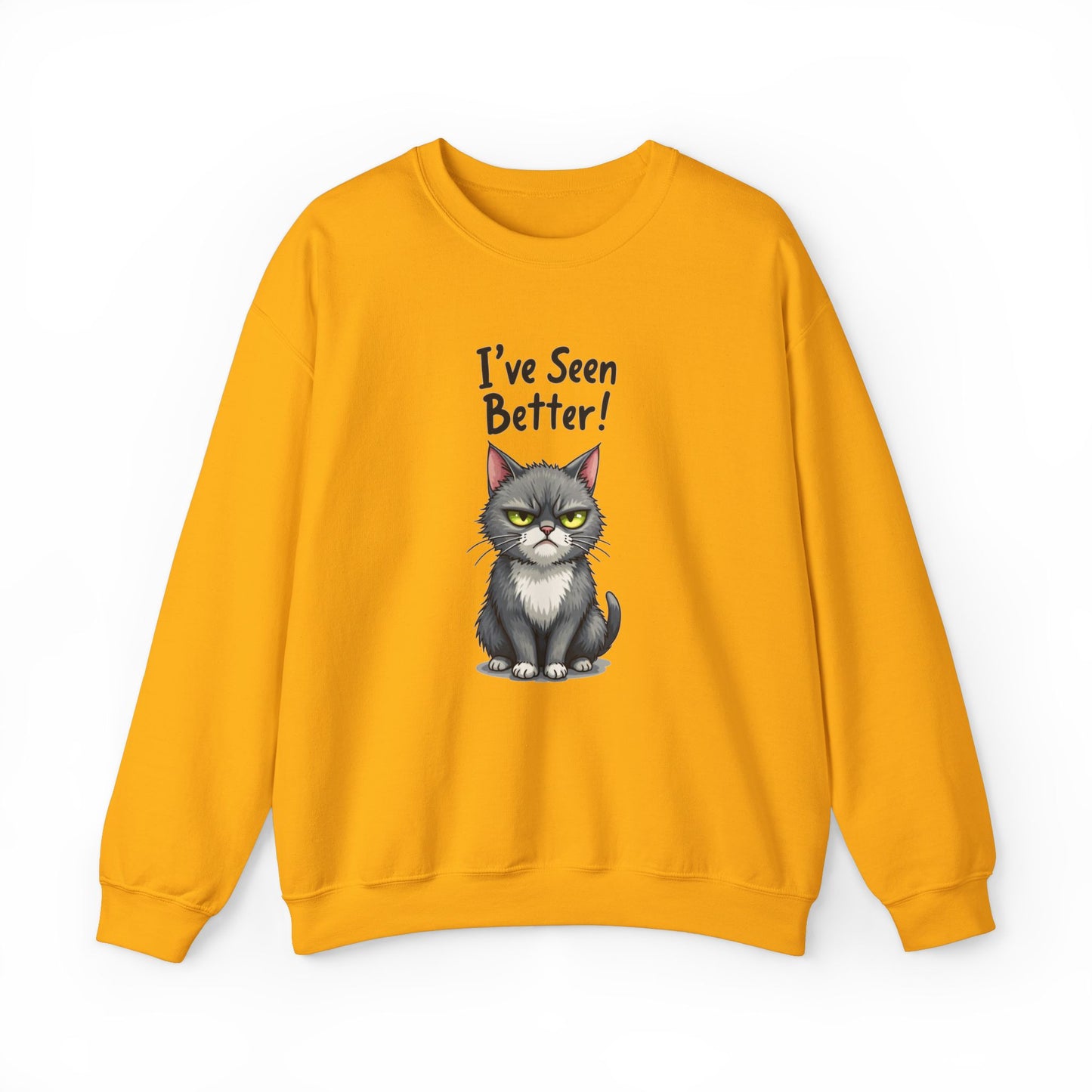 Sweatshirt - I've Seen Better v2