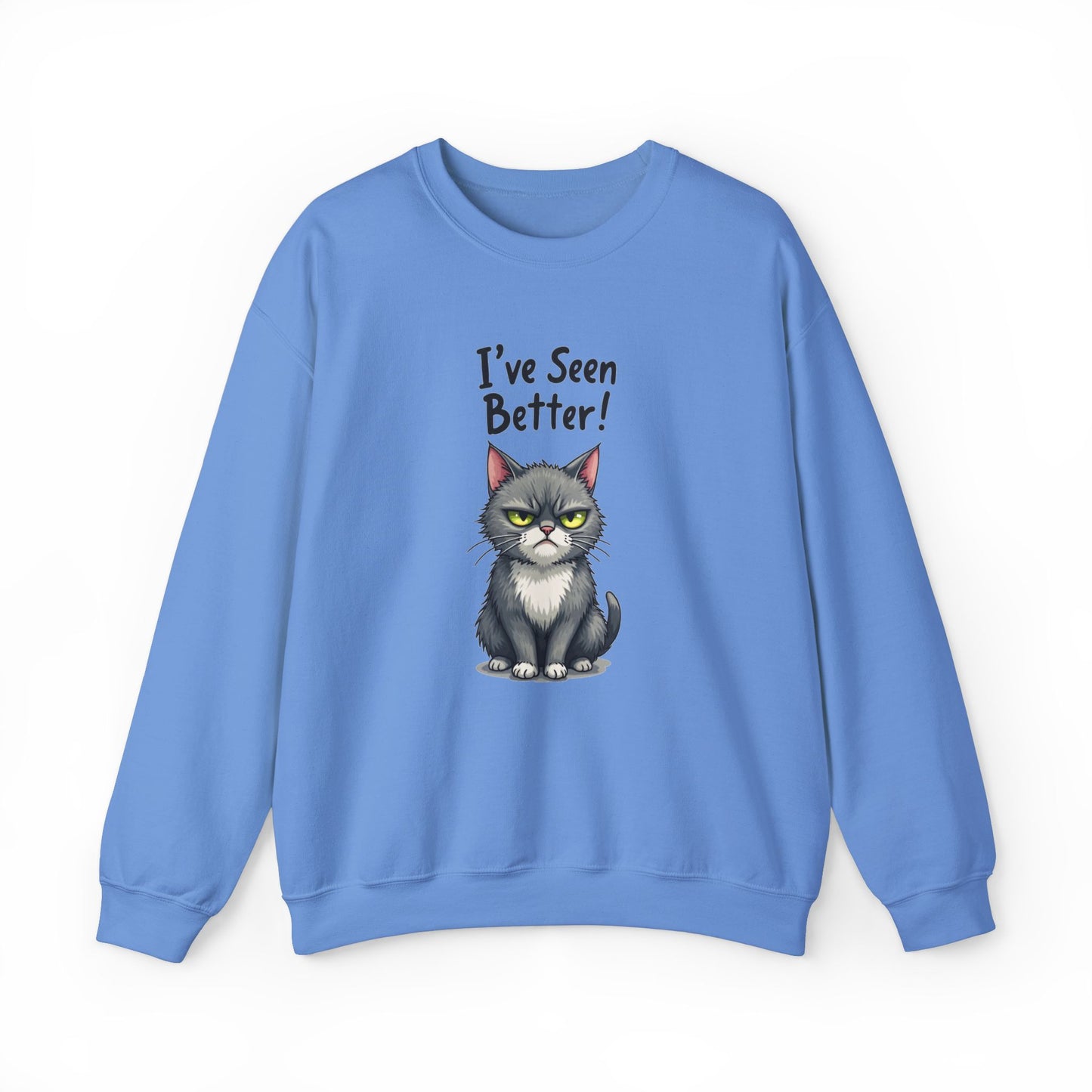 Sweatshirt - I've Seen Better v2