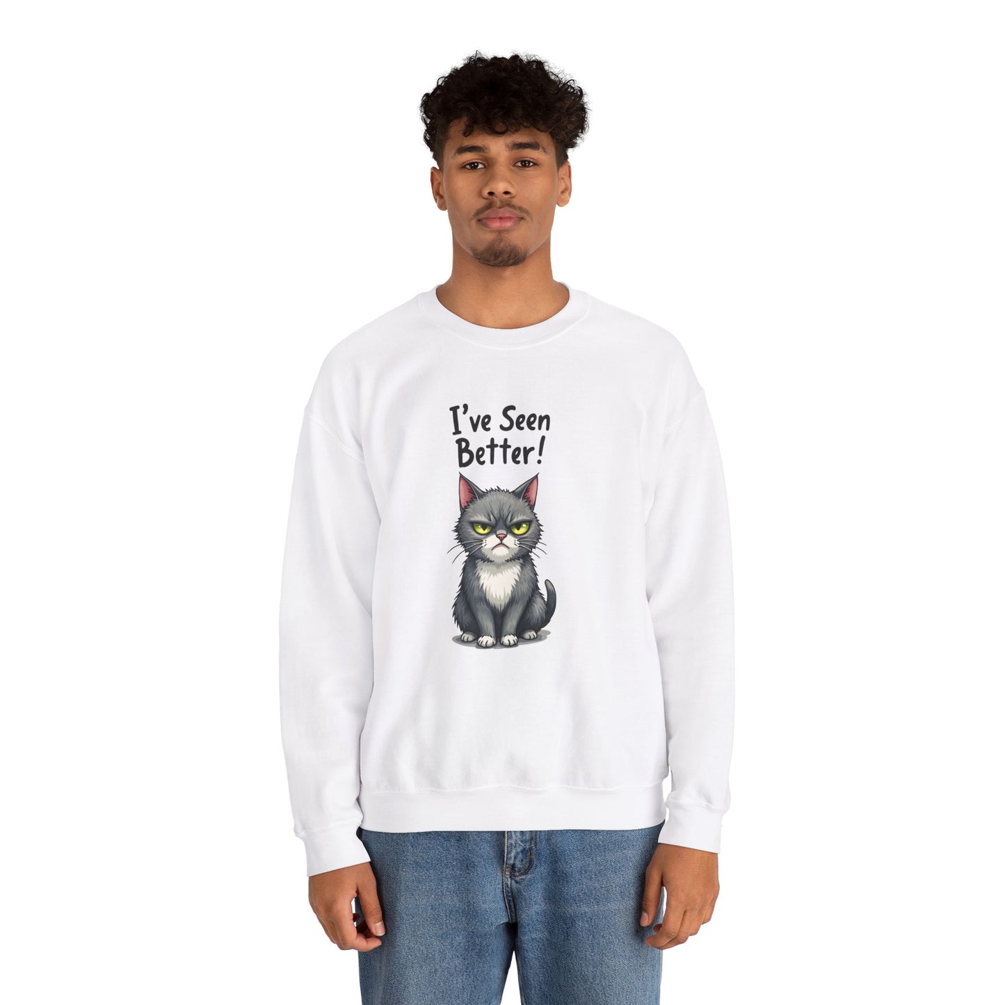 Sweatshirt - I've Seen Better v2