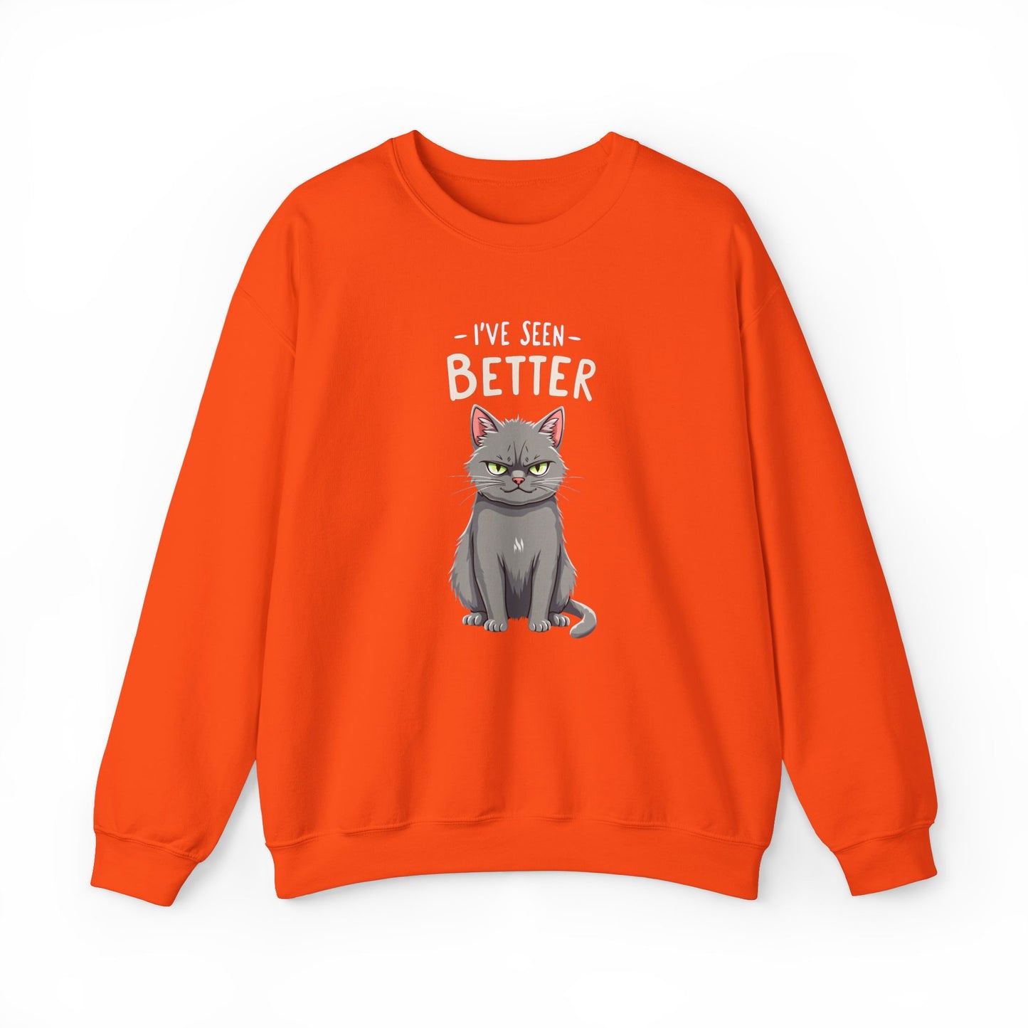 Sweatshirt - I've Seen Better