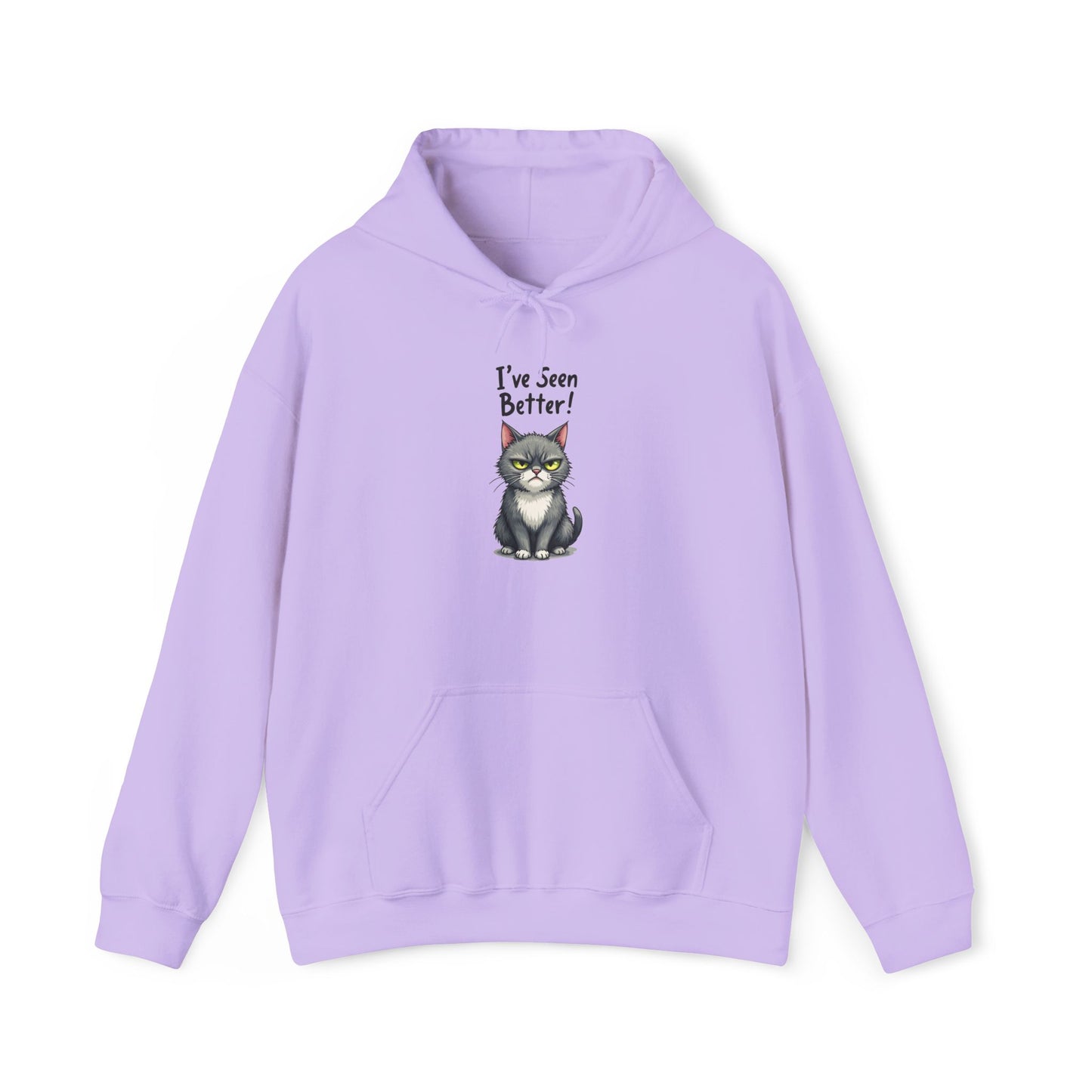 Hoodie - I've Seen Better v2
