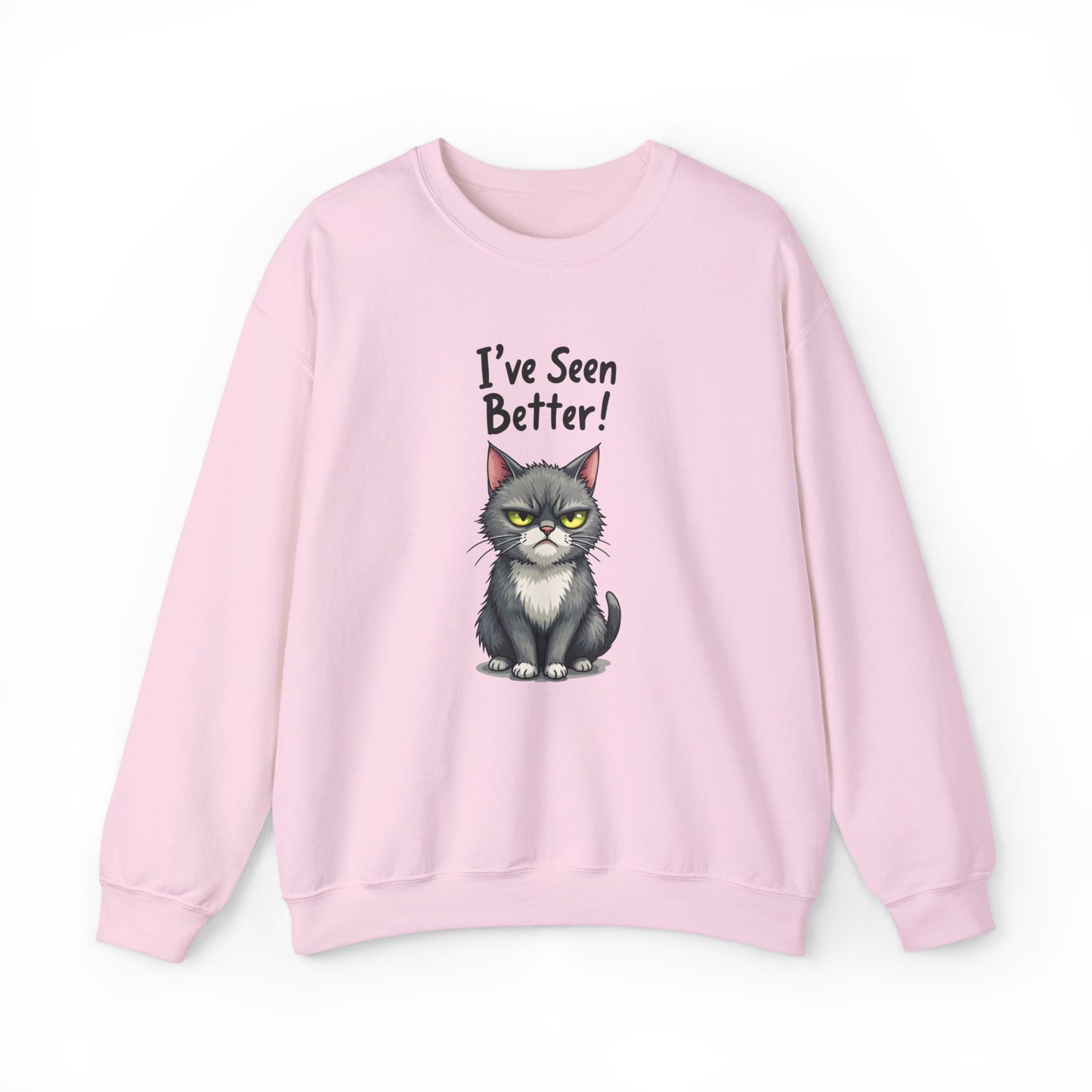 Sweatshirt - I've Seen Better v2