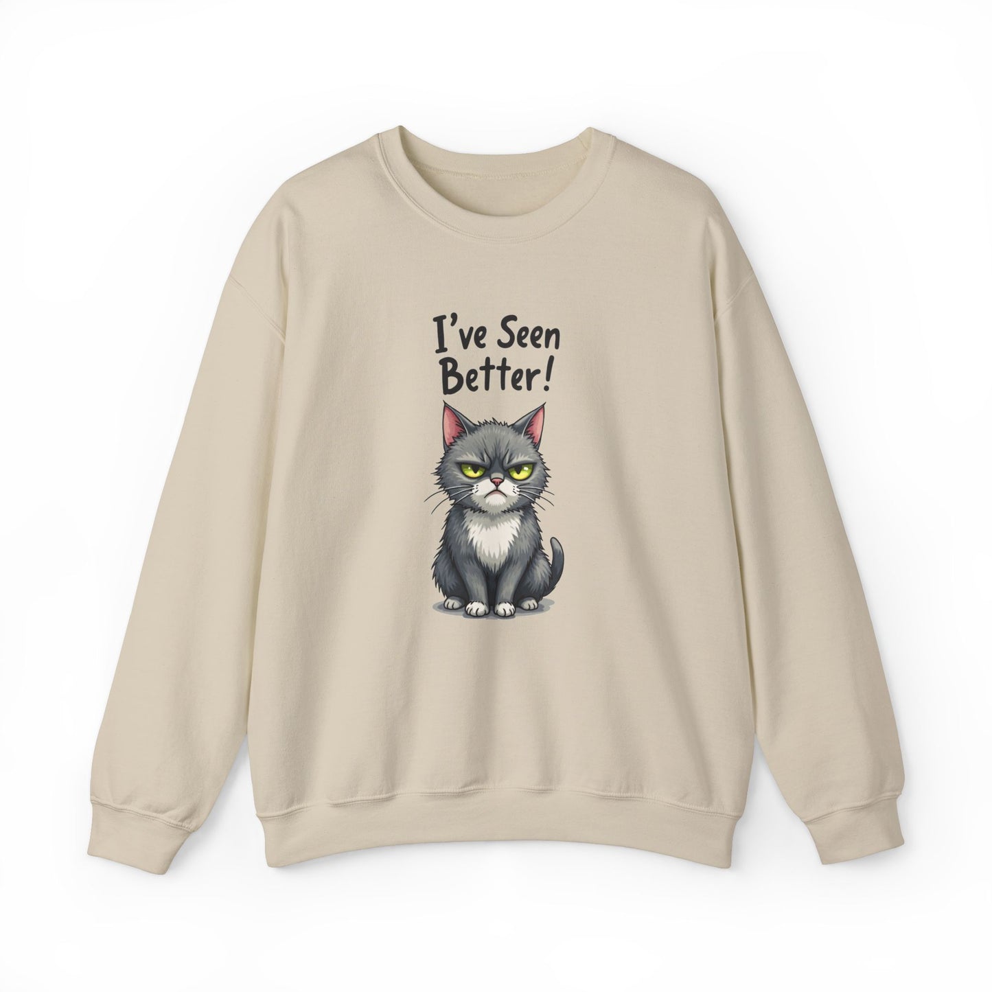 Sweatshirt - I've Seen Better v2
