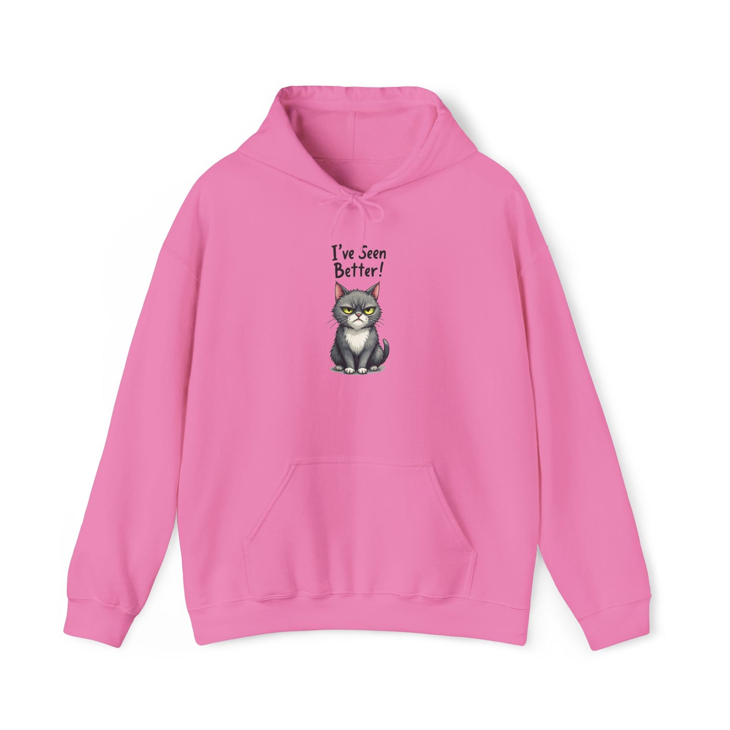 Hoodie - I've Seen Better v2