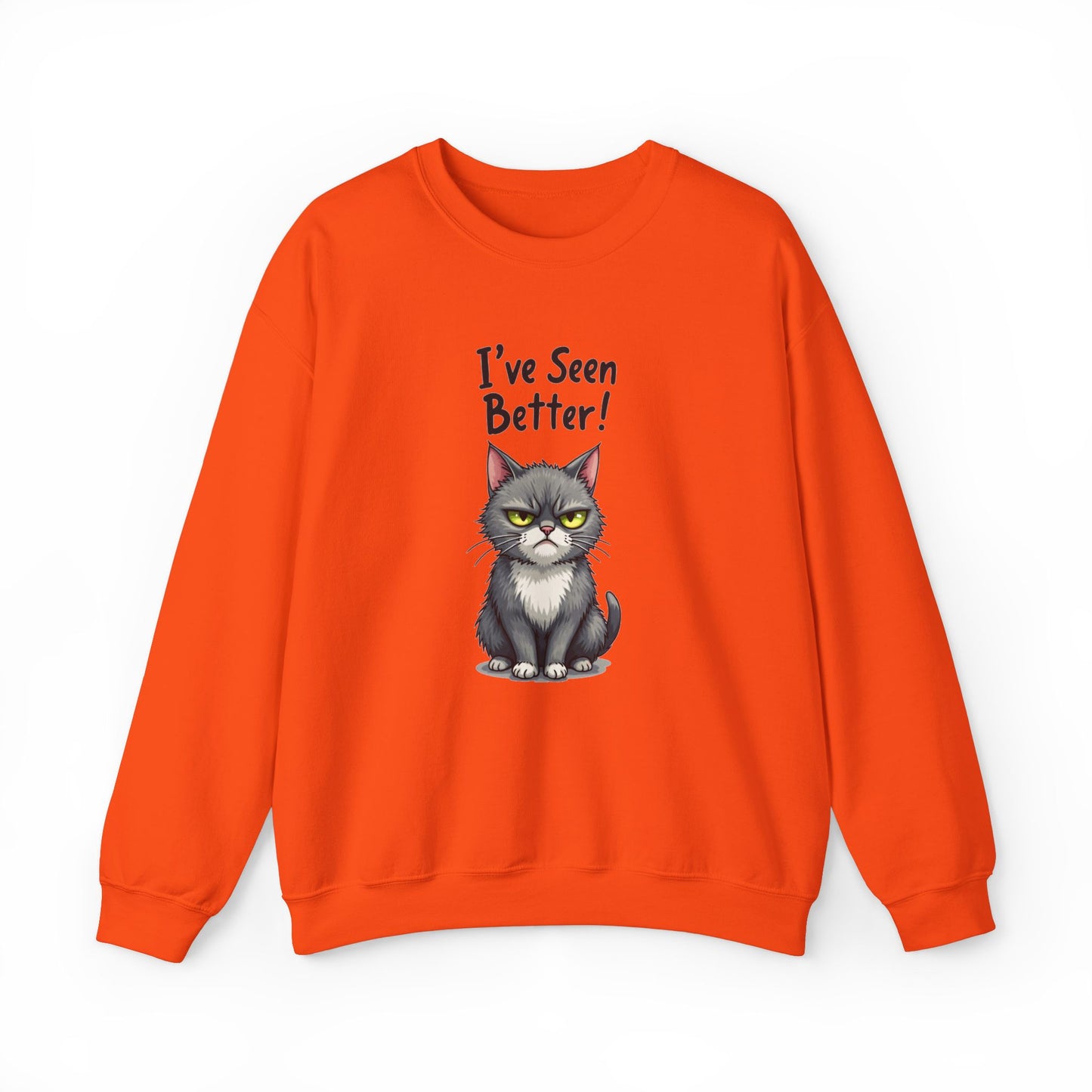Sweatshirt - I've Seen Better v2