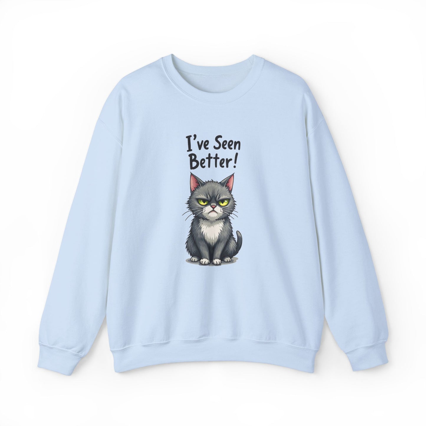 Sweatshirt - I've Seen Better v2