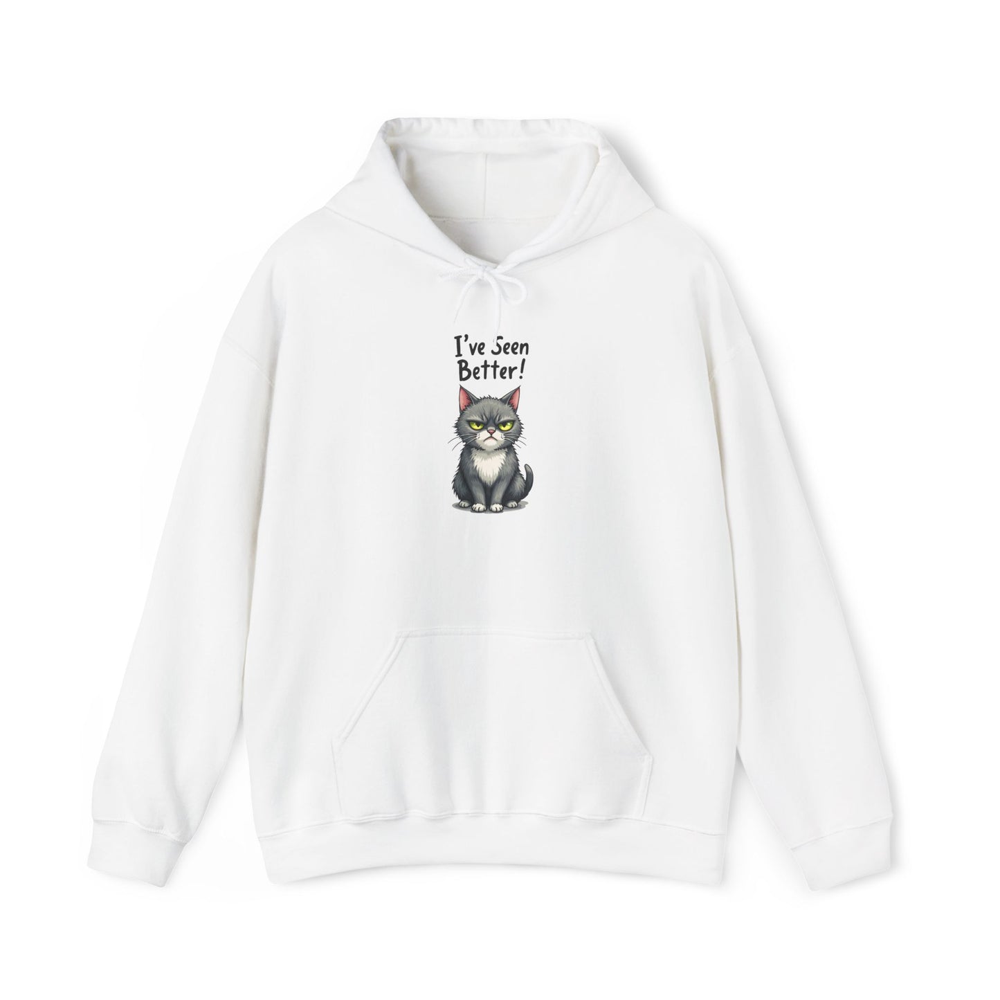 Hoodie - I've Seen Better v2