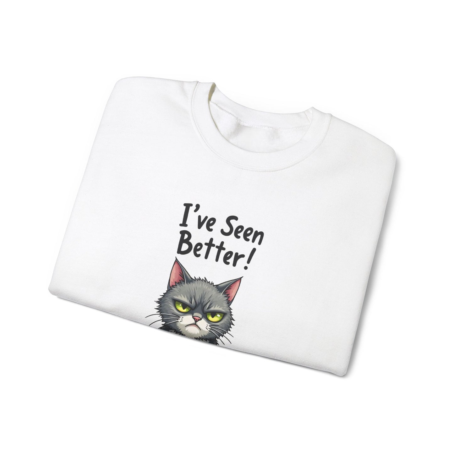 Sweatshirt - I've Seen Better v2
