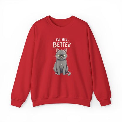 Sweatshirt - I've Seen Better