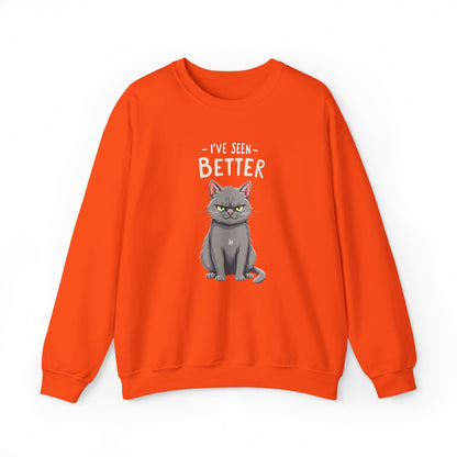 Sweatshirt - I've Seen Better